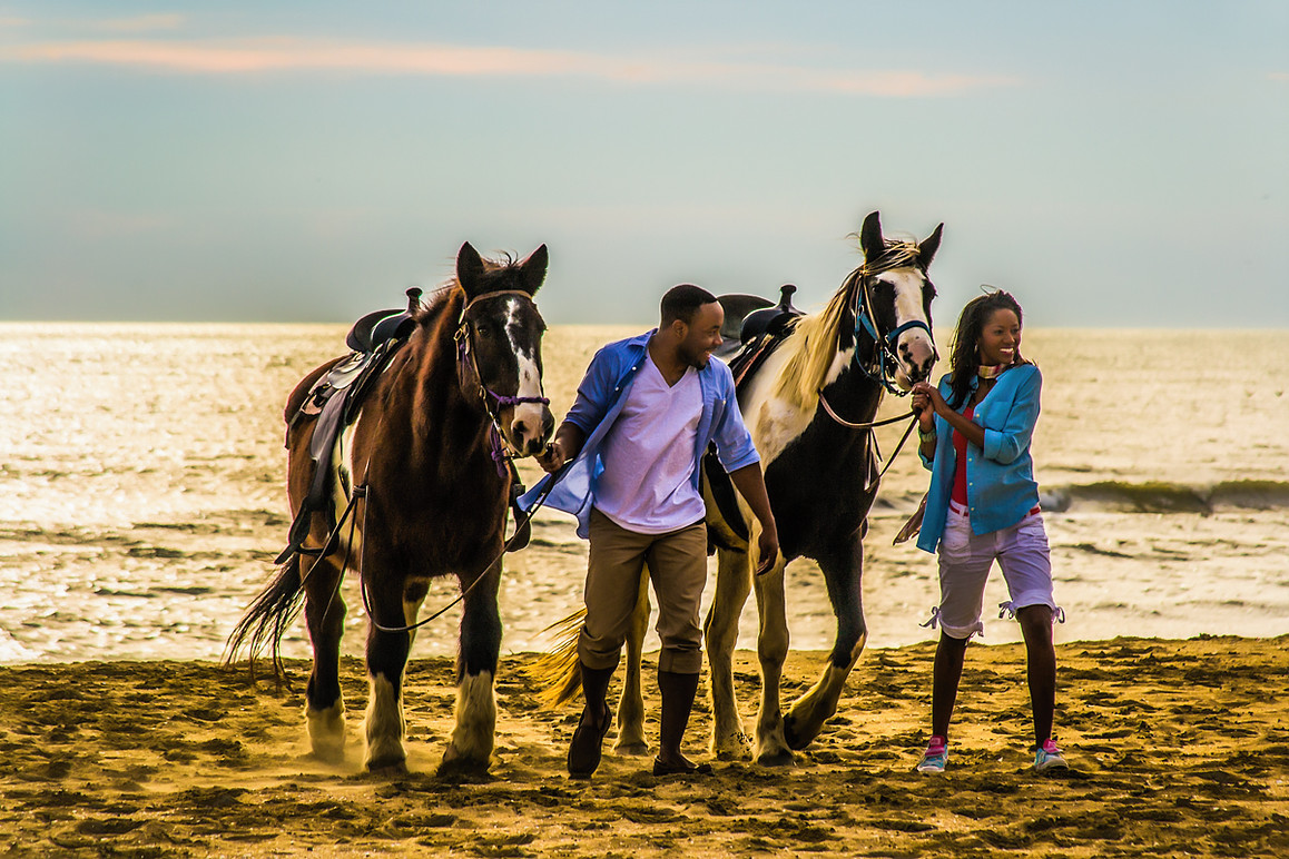 OUTER BANKS HORSEBACK